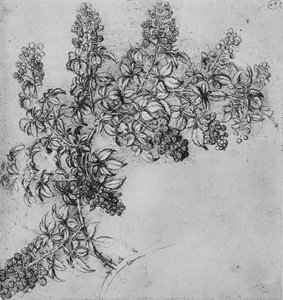 Une branche de mûrier, c. 1480, 1945