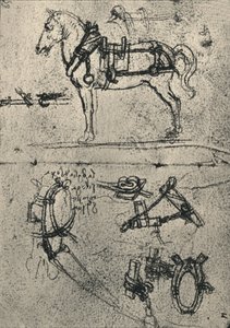 Un cheval de trait harnaché et études de harnais, vers 1480 1945 - Leonardo da Vinci