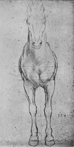 Un cheval vu de face - Leonardo da Vinci