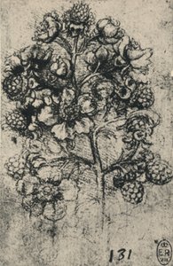 Une branche de ronces, vers 1480, 1945