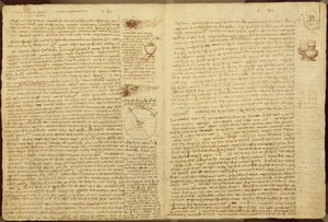 Une page du Codex Leicester, 1508-12