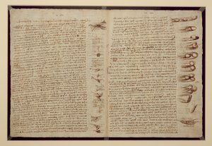 Une page du Codex Leicester, 1508-12 - Leonardo da Vinci