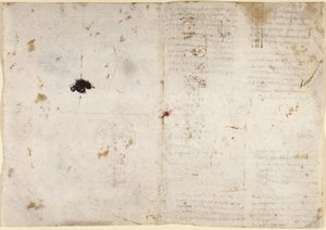Dessins sur les pouvoirs et forces mécaniques, percussion, gravité, mouvement, optique et astronomie, avec diverses propositions arithmétiques et géométriques - Leonardo da Vinci