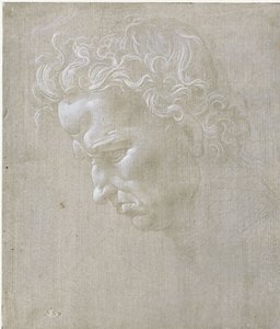  - Leonardo da Vinci