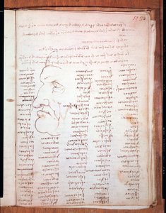 Codex Trivulziano de Léonard de Vinci (1452-1519) - Bibliothèque Trivulziana, Milan