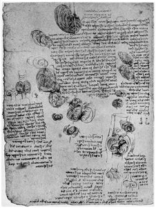 Diagramme du vortex sanguin dans le cœur, fin 15e ou début 16e siècle, 1954 - Leonardo da Vinci