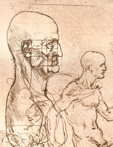 Dessin illustrant la théorie des proportions de la figure humaine, vers 1472-1519, 1883 - Leonardo da Vinci