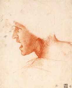 Étude de la tête d