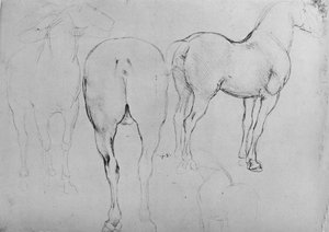 Quatre esquisses de chevaux, vers 1480 - Leonardo da Vinci