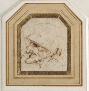 Tête grotesque - Leonardo da Vinci