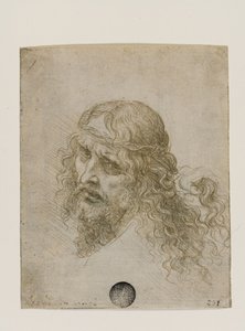 Tête du Christ couronné d