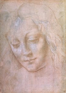 Tête de femme - Leonardo da Vinci