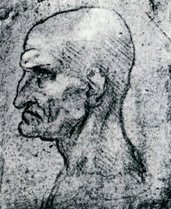 Tête d