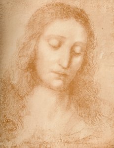 Tête du Rédempteur - Leonardo da Vinci