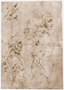 Têtes de filles, jeunes et vieux hommes, 1478-1480