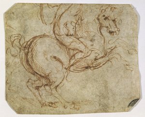 Cheval et cavalier - Leonardo da Vinci