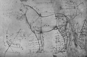 Dessin mesuré d