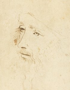 Portrait de Léonard de Vinci, vers 1518 - Leonardo da Vinci,