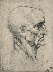 Profil à droite d