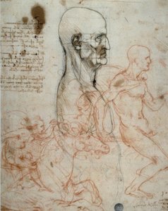 Schéma de proportions de la tête humaine et études de cavaliers - Leonardo da Vinci