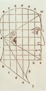 Étude de proportions de la tête humaine