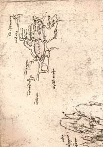 Carte esquisse de l