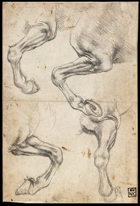 Études de jambes de chevaux - Leonardo da Vinci