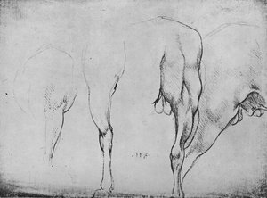 Études de jambes de chevaux, vers 1480 1945 - Leonardo da Vinci
