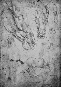 Études de chevaux et de têtes de chevaux, vers 1480, 1945 - Leonardo da Vinci