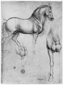 Études de Chevaux, vers 1490 1954 - Leonardo da Vinci