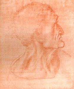 Étude pour la tête de Judas dans `La Cène`, c1494-c1499, 1883 - Leonardo da Vinci