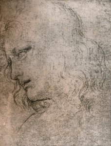 Étude pour la tête de Saint Philippe dans `La Cène`, vers 1494-1499 1883 - Leonardo da Vinci