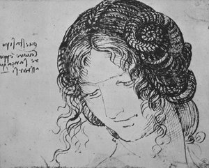 Étude des cheveux tressés d