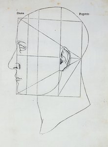 La tête humaine, illustration pour 
