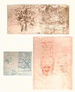 Trois dessins, c1472-c1519 - Leonardo da Vinci