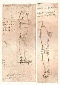 Deux dessins illustrant la théorie des proportions de la figure humaine, vers 1472-1519, 1883 - Leonardo da Vinci
