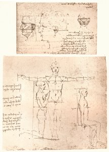 Deux dessins illustrant la théorie des proportions de la figure humaine, vers 1472-1519, 1883 - Leonardo da Vinci