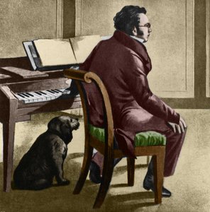 Portrait du compositeur autrichien Franz Schubert - Leopold Kupelwieser