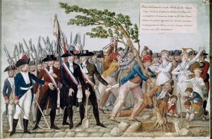 Plantation de l
