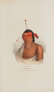 PE-A-JICK ; un chef chippewa, tiré du Portfolio autochtone