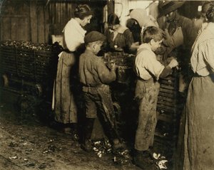 Jimmie, 10 ans, qui épluche depuis 3 ans (6 pots par jour) avec un garçon de 11 ans qui épluche 7 pots à Varn und Platt Canning Co., Bluffton, Caroline du Sud, 1913 - Lewis Wickes Hine