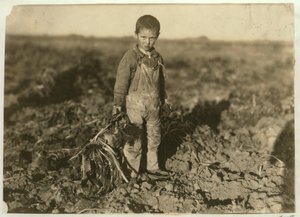 Jo, 6 ans, arrachant des betteraves sucrières dans une ferme près de Sterling, Colorado, 1915