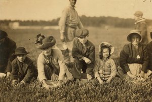 Annette Roy, dite 7 ans, et Napoléon Ruel, dit 9 ans, cueillant des canneberges à Smart