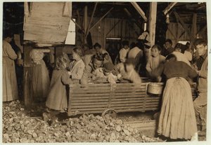 Bill May, âgé de 5 ans, qui gagne 15 cents par jour, dans le hangar de décorticage de la Barataria Canning Company, Biloxi, Mississippi, 1911 - Lewis Wickes Hine