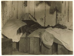 Cabane De Marco pour cueilleurs de canneberges à Forsythe
