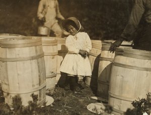 Mary Christmas, seulement 3 ans, obligée de ramasser les canneberges renversées par son grand-père, Week