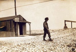 Un des jeunes écaillers d