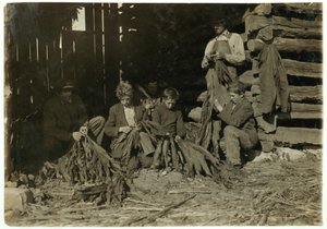 Les fils de J.H. Burch âgés de 12, 14 et 17 ans épluchant du tabac pendant les heures de classe à Warren County, Rockfield, Kentucky, 1916 - Lewis Wickes Hine