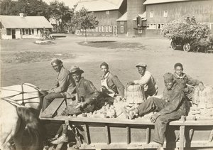 Sans titre - Lewis Wickes Hine