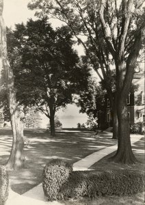 Sans titre - Lewis Wickes Hine